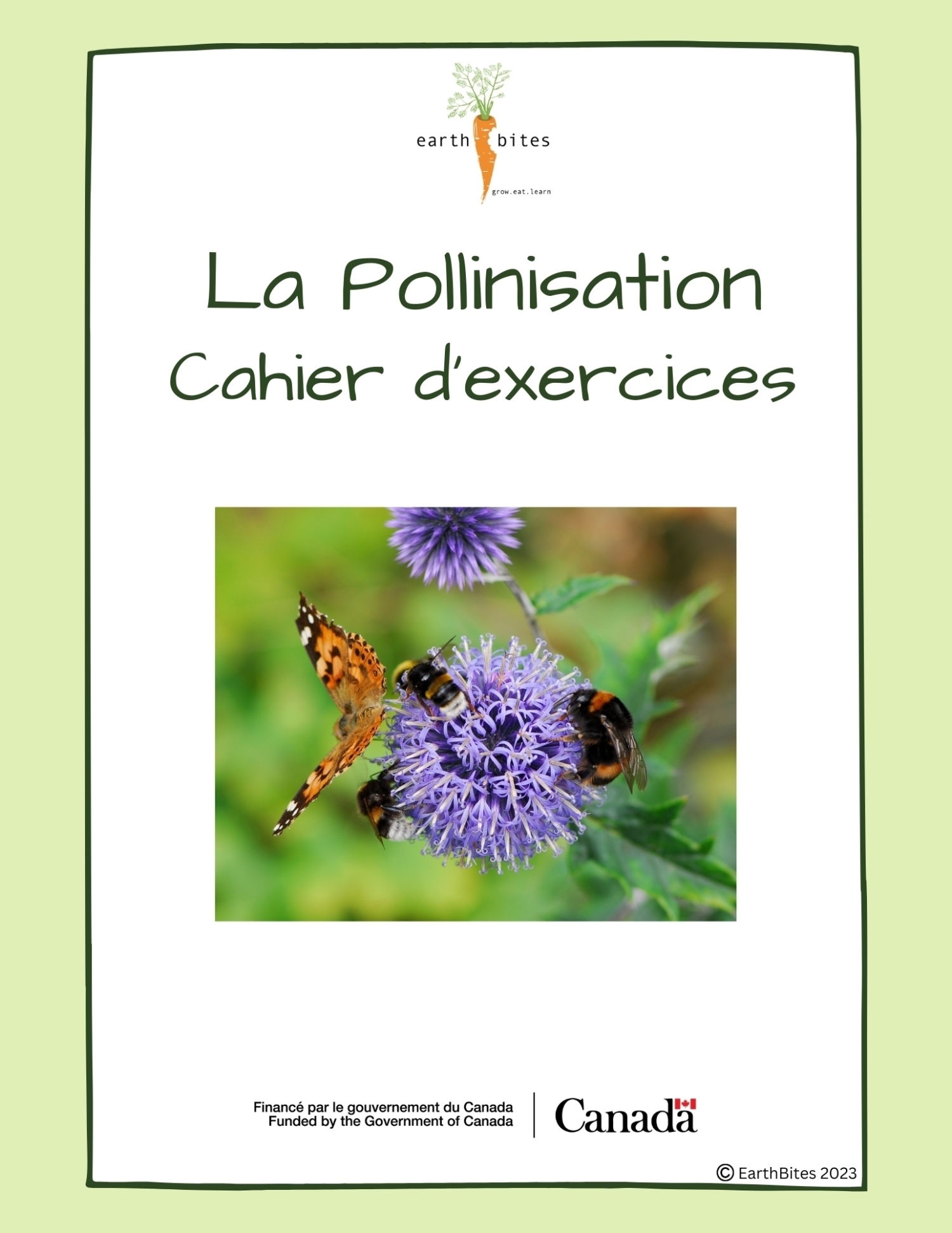 Pollination visual data 3